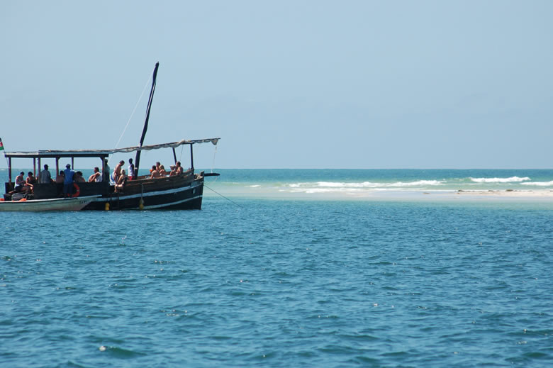 Read more about the article Wasini Dolphin Tour